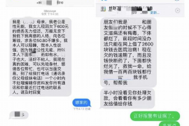 那坡为什么选择专业追讨公司来处理您的债务纠纷？